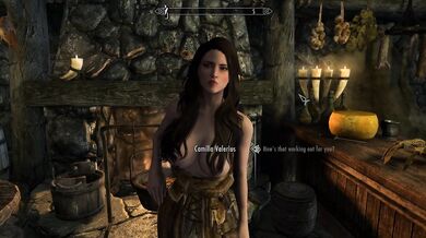 Camila's Armored Fuck Quest