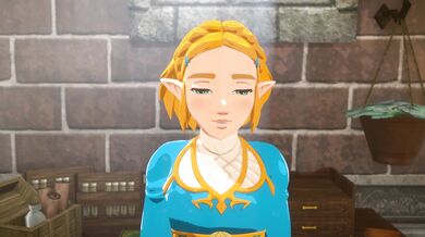 'The Legend of Zelda: Hyrulean Hentai: The Stamina Potion Experiment'