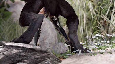 Werewolf Compilation Part 1