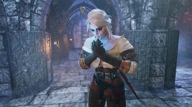 Witcher's Rendezvous: Payback Time