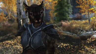 'Skyrim Immersive Porn - Episode 3'