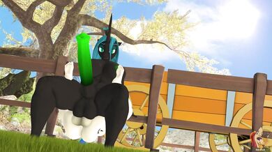 The Queen's Throne: A Royal Hentai Adventure