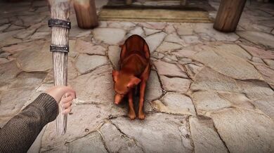 The Guard's Pup Banged in Skyrim - A Wet and Wild Tale of Doggy Style Adventures