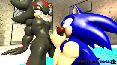 Unleashing Dark Passion with Sonic and Shadow