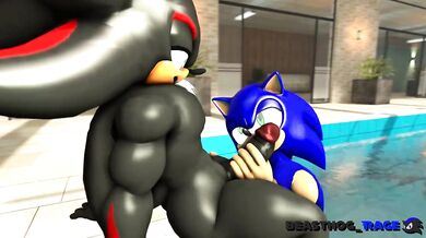 Unleashing Dark Passion with Sonic and Shadow