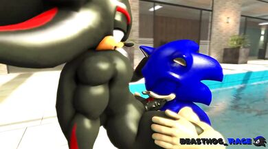 Unleashing Dark Passion with Sonic and Shadow