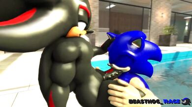 Unleashing Dark Passion with Sonic and Shadow