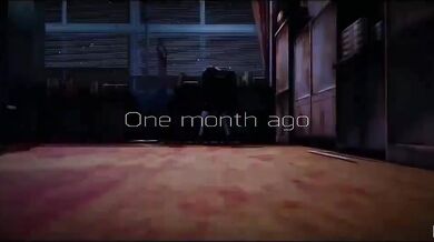 Lilia's Insect Adventures