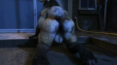Comet and Doggie-style [H0rs3]