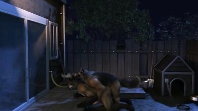 Comet and Doggie-style [H0rs3]