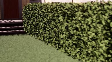 Exhibitionist's Peep Show in 3D!!