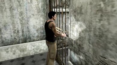 Fucked in Lockdown with Lara and Arnold the Boss