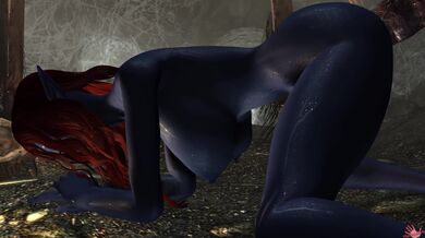 The Witch's Black Magic Spread Throughout the Land as the Mysterious Spider Watches
