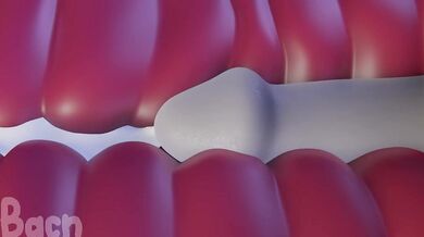 Lola's Lockers - A Hardcore Reality Porn Film