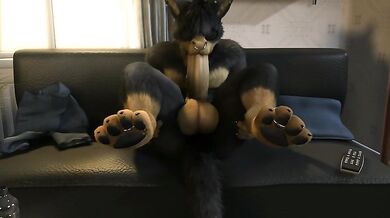 Xander's Porn Video - Wh0res