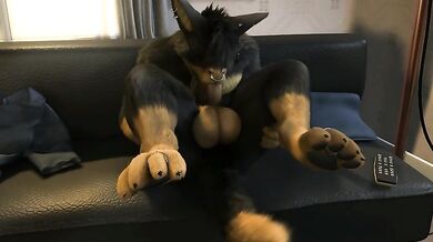 Xander's Porn Video - Wh0res