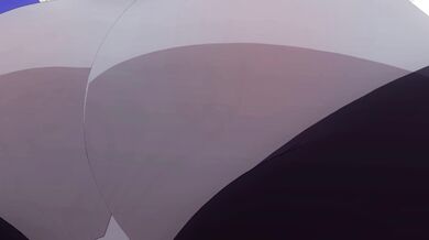 Animal Lust: The Gay Furry Orgy