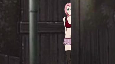 Sexy Ninja's First Assignment