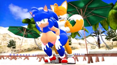 - Sonic the Hedgehog's Tail-spinning Sexcapade with Sonica