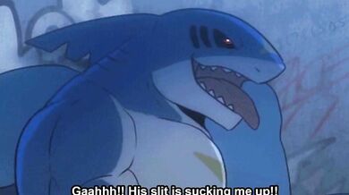 Bernard and the Pokemon Sharks