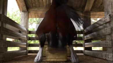 - Riding the stallion bareback and deep 
- A mare's fantasy fulfilled with a horse's big member - A mare's fantasy fulfilled with a horse's big member 
- Deep throating the pony's massive cockHorse- Deep throating the pony's massive cock