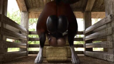 - Riding the stallion bareback and deep 
- A mare's fantasy fulfilled with a horse's big member - A mare's fantasy fulfilled with a horse's big member 
- Deep throating the pony's massive cockHorse- Deep throating the pony's massive cock