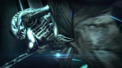 Xenomorph's Wet and Messy Release