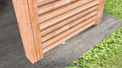 Popura's Public Pleasure: A Bitter Sweet Release