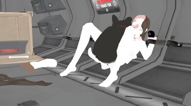 Two Anime Sluts Fuck Like Crazy in 'Zwei Neo of the Sexing'!