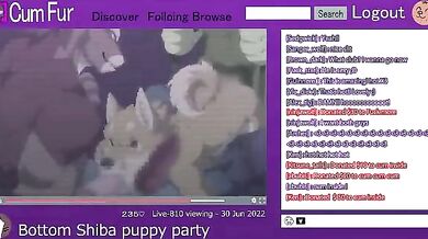 Gay Furry Orgy