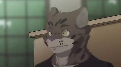 Gay Furry Orgy