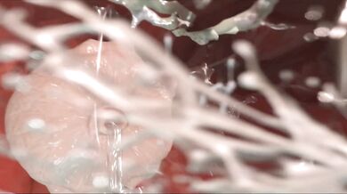 [Microcosm] Cumming Inside Princess Celestia