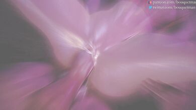 Bound Beauty Banged from Behind by the Blossom Bandit