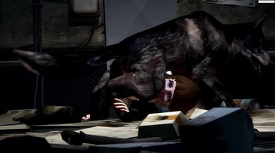 Paws and Hoes: A Doggy Style Orgy