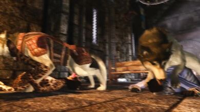 Khajiit Sistas' Gotta Get Some Husky Dick!