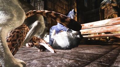 Khajiit Sistas' Gotta Get Some Husky Dick!