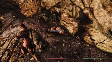 Naughty Thieves' Hideout: Is It Really Just a Normal Campsite?