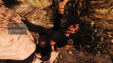 Naughty Thieves' Hideout: Is It Really Just a Normal Campsite?