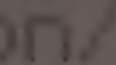 Furry Fuckers [dacad]