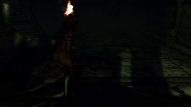 Deep Exploration Turns Innocent Traveler into Sex Toy