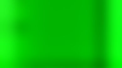 Tentacle Terror [Hentai Anime Edition]