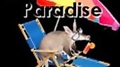 Lord Aardvark's Radio Silence: A Hentai Porn Masterpiece