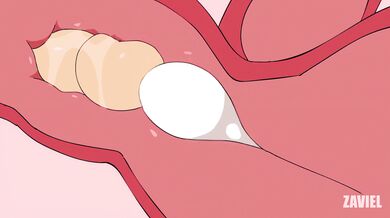 - Zaviel's Full Eevee Animation