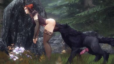 Assumi Dog Pack