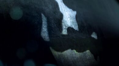 Busty Ninja Battles in the C2 Chaos Arena