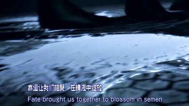 Busty Ninja Battles in the C2 Chaos Arena