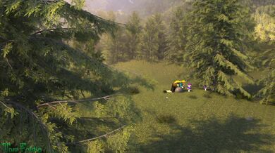 - The Fungi Sex Adventure