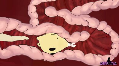 The Dirty Little Secrets of the Star Princess