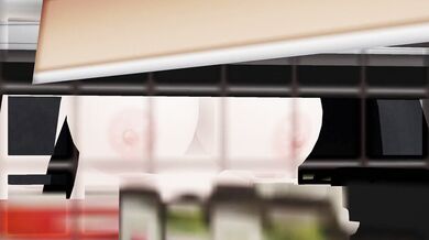 Unleashed Beast: Elevated Exploits Part II