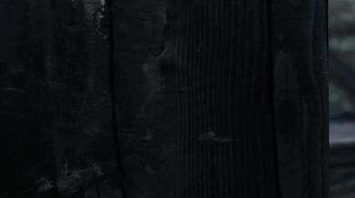 Horse Cock Emptying at Max Capacity